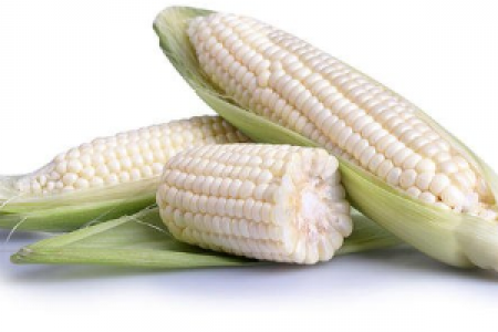 白玉米排行榜